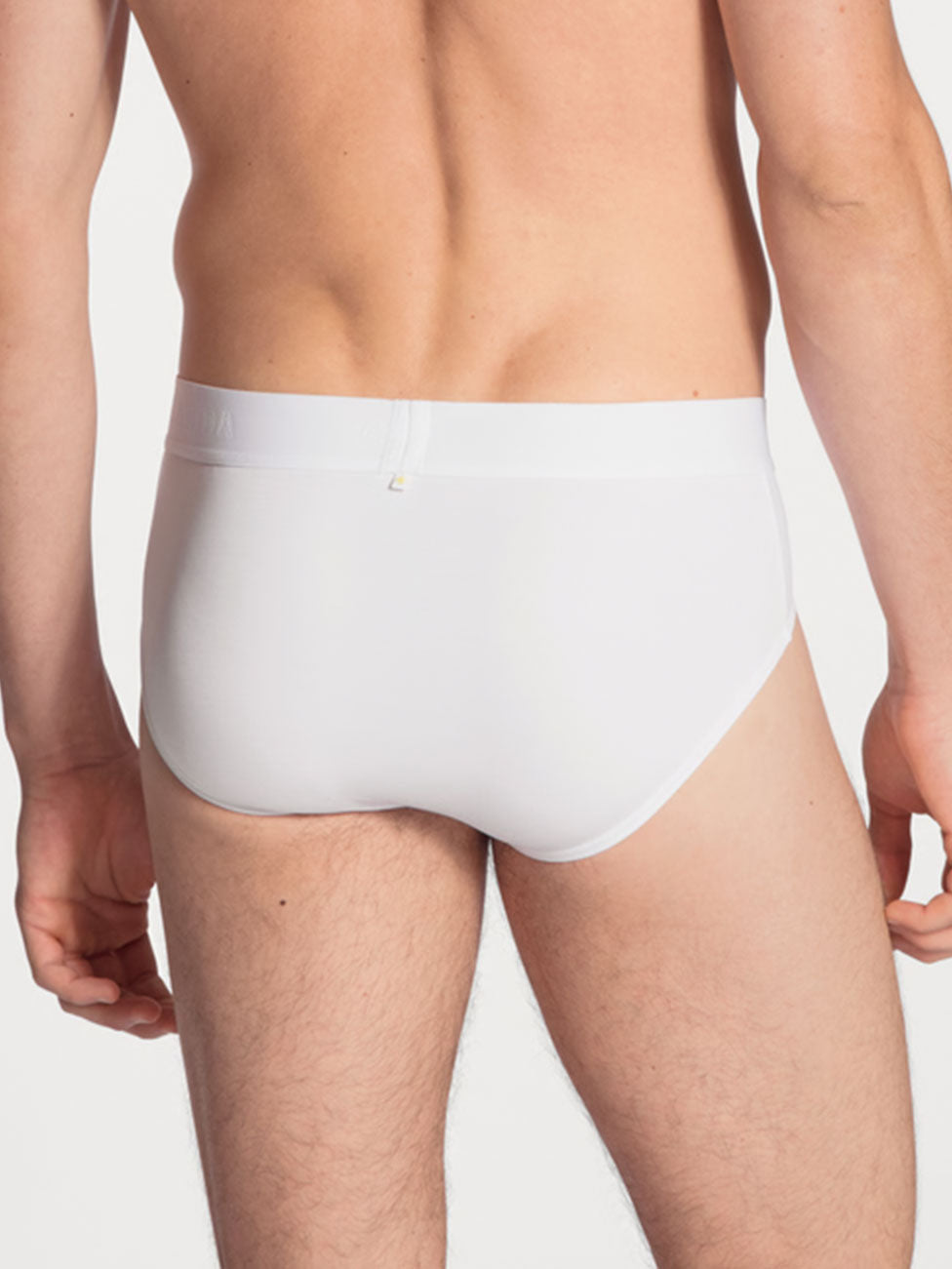 Calida Clean Line Brief