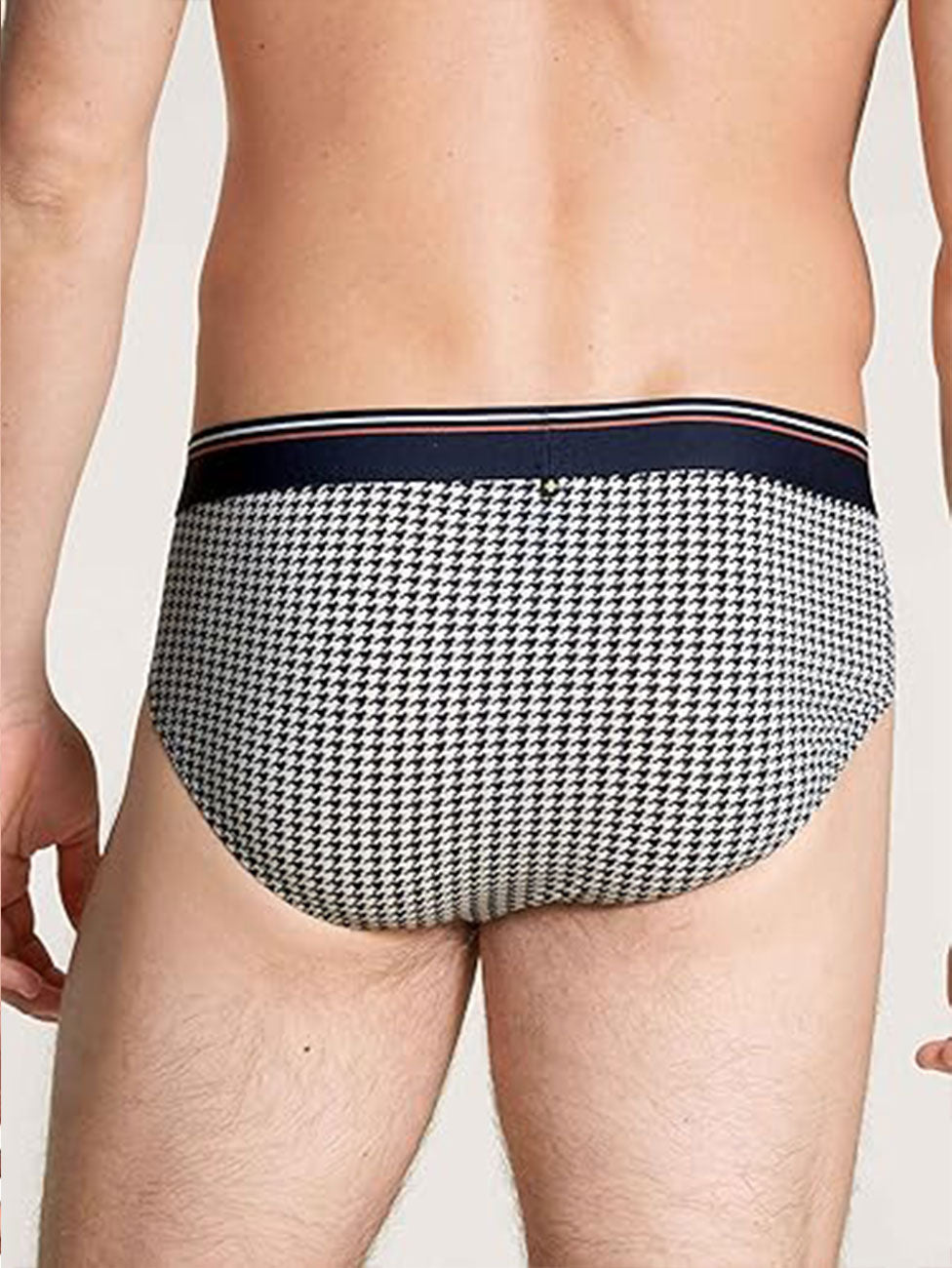 Calida Focus Trend Brief