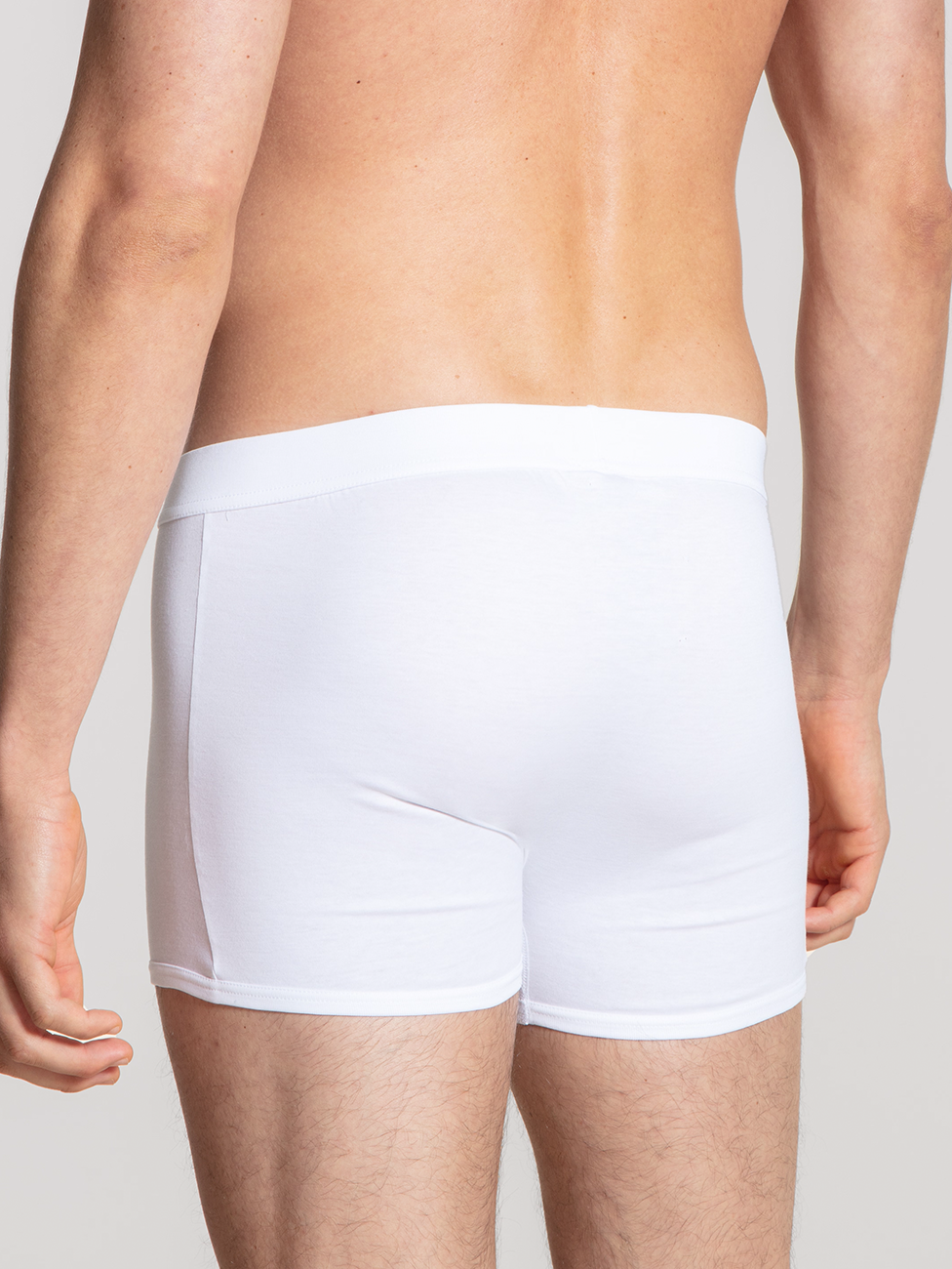 Calida Swiss Cotton Boxer Brief