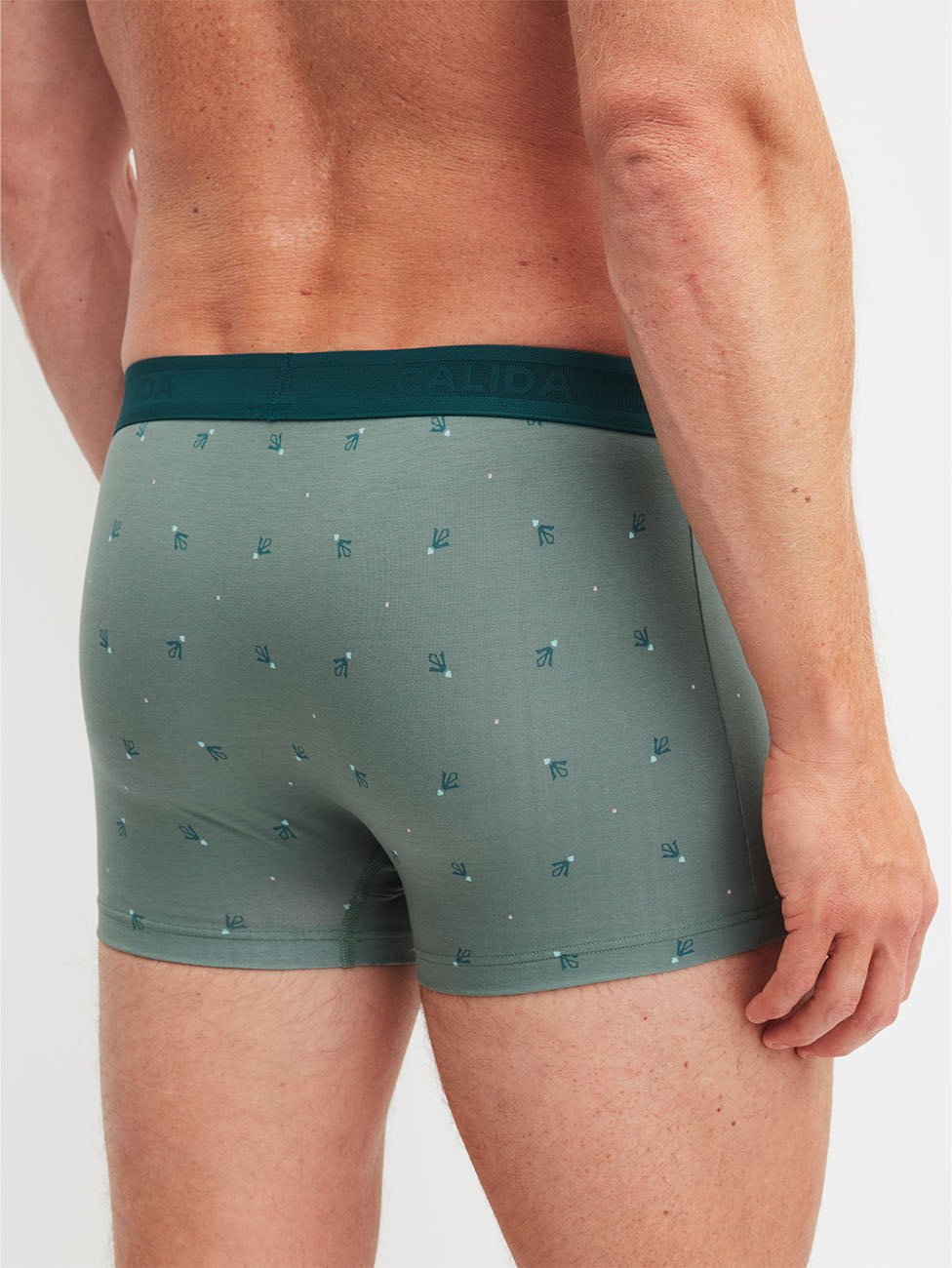 Calida Grafic Cotton  Boxer Brief